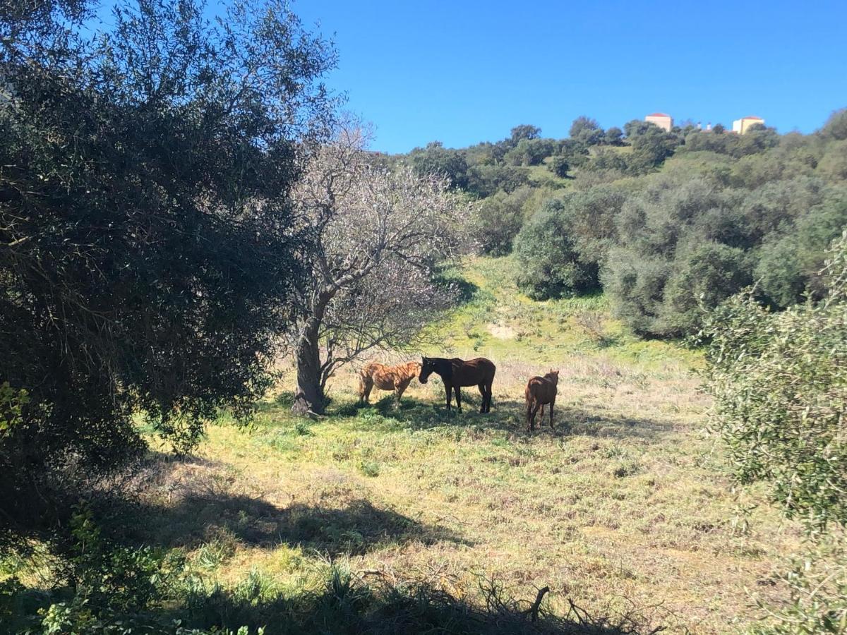 Agriturismo E Antica Fattoria Matteu Bed & Breakfast Teulada Eksteriør bilde